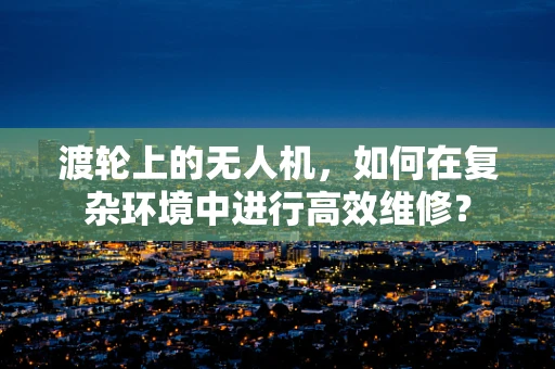 渡轮上的无人机，如何在复杂环境中进行高效维修？