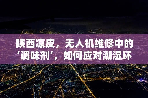 陕西凉皮，无人机维修中的‘调味剂’，如何应对潮湿环境下的电子元件腐蚀？