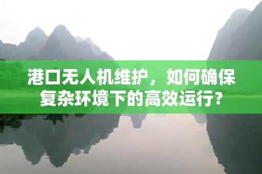 港口无人机维护，如何确保复杂环境下的高效运行？
