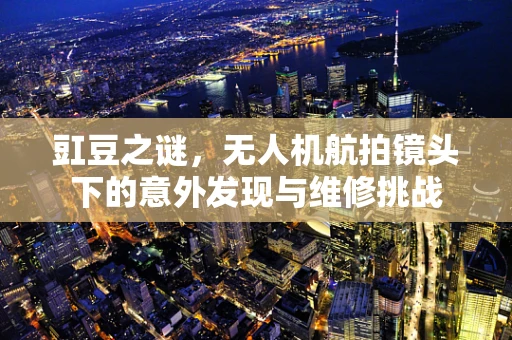 豇豆之谜，无人机航拍镜头下的意外发现与维修挑战