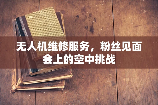 无人机维修服务，粉丝见面会上的空中挑战