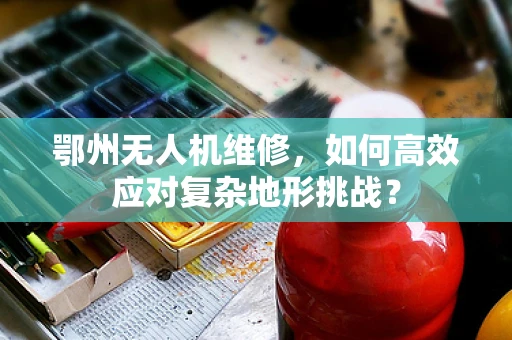 鄂州无人机维修，如何高效应对复杂地形挑战？