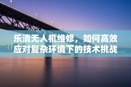 乐清无人机维修，如何高效应对复杂环境下的技术挑战？