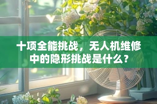 十项全能挑战，无人机维修中的隐形挑战是什么？