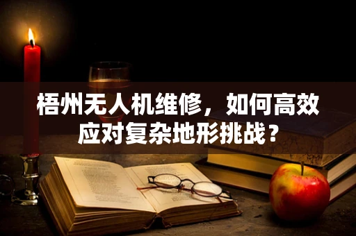 梧州无人机维修，如何高效应对复杂地形挑战？