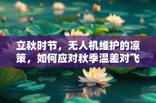 立秋时节，无人机维护的凉策，如何应对秋季温差对飞行性能的影响？