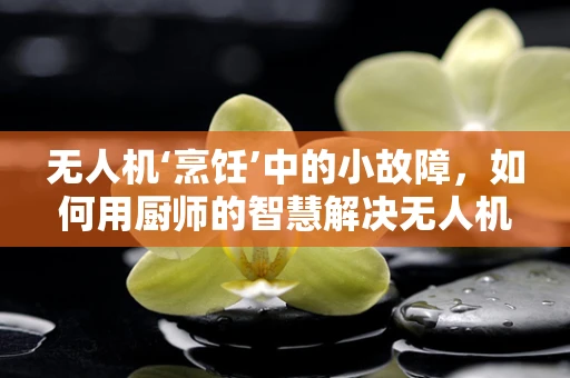 无人机‘烹饪’中的小故障，如何用厨师的智慧解决无人机维修难题？