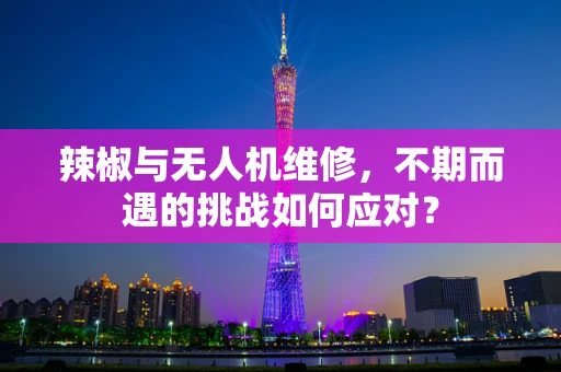 辣椒与无人机维修，不期而遇的挑战如何应对？