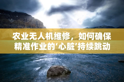 农业无人机维修，如何确保精准作业的‘心脏’持续跳动？