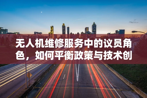 无人机维修服务中的议员角色，如何平衡政策与技术创新？