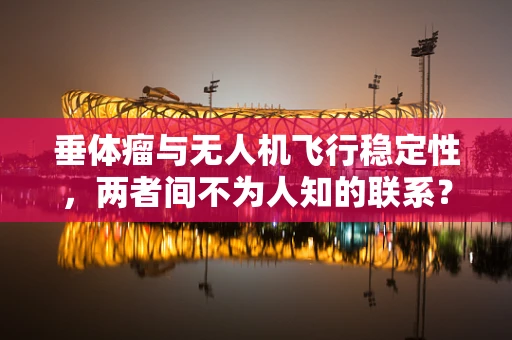 垂体瘤与无人机飞行稳定性，两者间不为人知的联系？