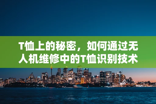 T恤上的秘密，如何通过无人机维修中的T恤识别技术员的专业性？