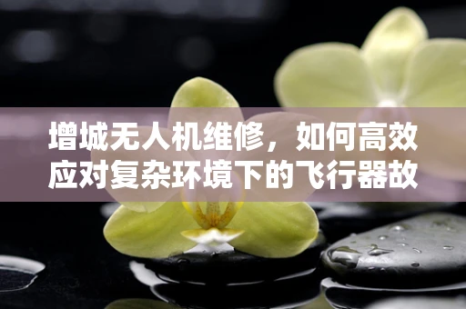 增城无人机维修，如何高效应对复杂环境下的飞行器故障？