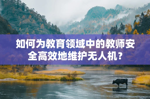 如何为教育领域中的教师安全高效地维护无人机？