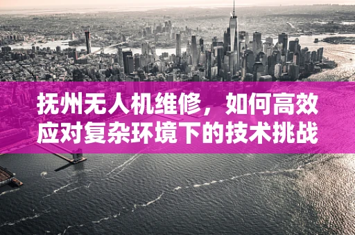 抚州无人机维修，如何高效应对复杂环境下的技术挑战？