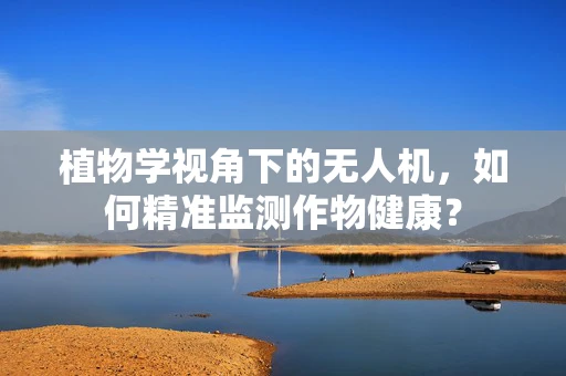 植物学视角下的无人机，如何精准监测作物健康？