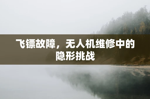飞镖故障，无人机维修中的隐形挑战