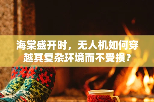 海棠盛开时，无人机如何穿越其复杂环境而不受损？