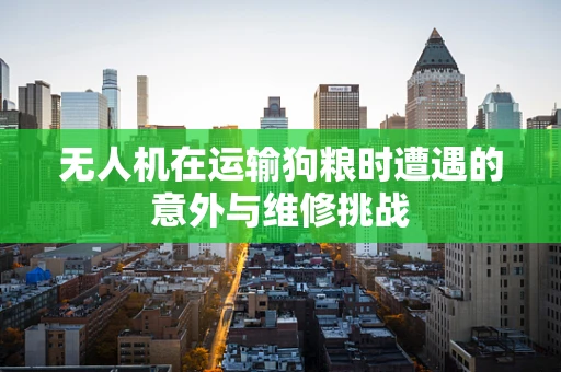 无人机在运输狗粮时遭遇的意外与维修挑战
