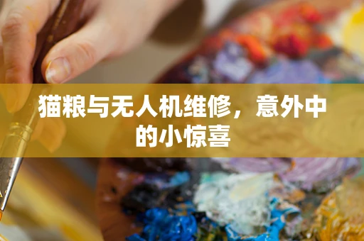 猫粮与无人机维修，意外中的小惊喜