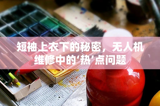 短袖上衣下的秘密，无人机维修中的‘热’点问题