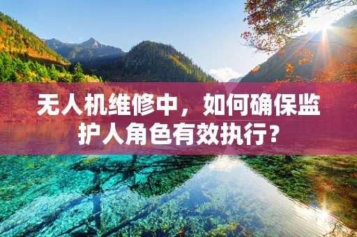 无人机维修中，如何确保监护人角色有效执行？