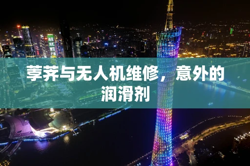 荸荠与无人机维修，意外的润滑剂