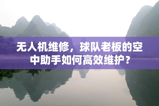 无人机维修，球队老板的空中助手如何高效维护？
