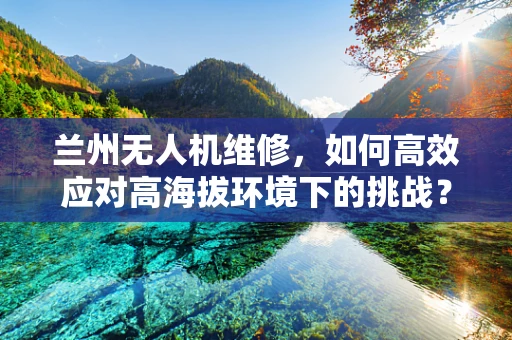 兰州无人机维修，如何高效应对高海拔环境下的挑战？
