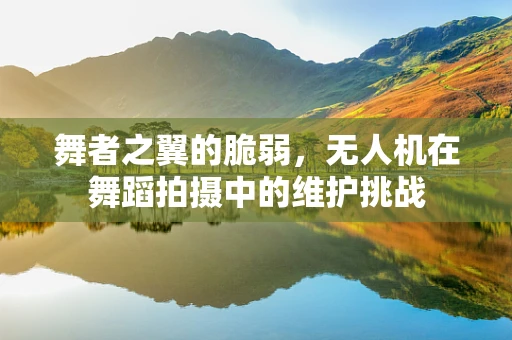 舞者之翼的脆弱，无人机在舞蹈拍摄中的维护挑战
