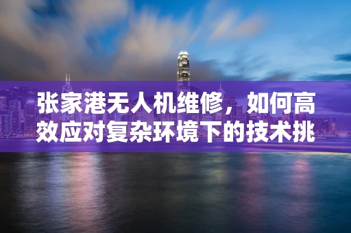 张家港无人机维修，如何高效应对复杂环境下的技术挑战？