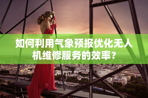 如何利用气象预报优化无人机维修服务的效率？