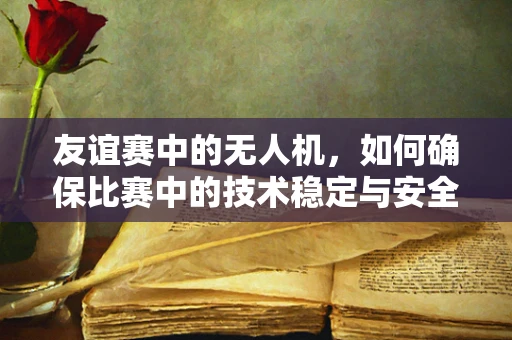 友谊赛中的无人机，如何确保比赛中的技术稳定与安全？