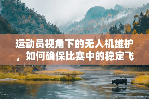 运动员视角下的无人机维护，如何确保比赛中的稳定飞行？