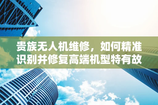 贵族无人机维修，如何精准识别并修复高端机型特有故障？