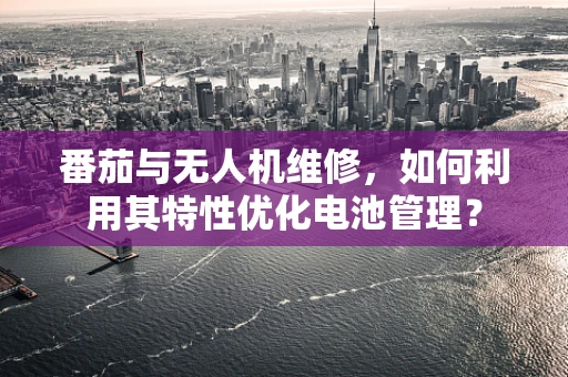 番茄与无人机维修，如何利用其特性优化电池管理？