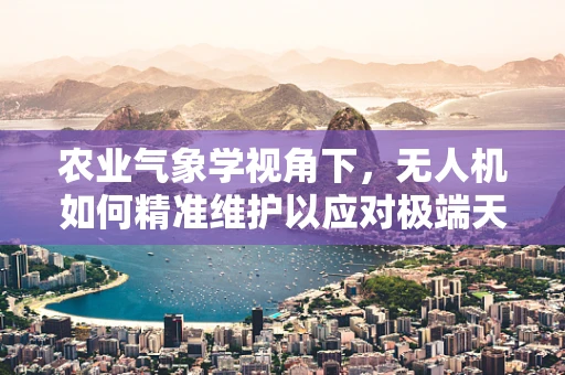 农业气象学视角下，无人机如何精准维护以应对极端天气？