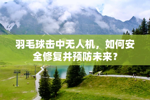 羽毛球击中无人机，如何安全修复并预防未来？