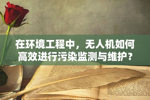 在环境工程中，无人机如何高效进行污染监测与维护？