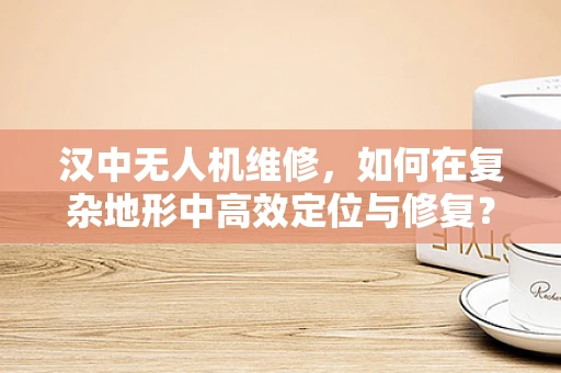 汉中无人机维修，如何在复杂地形中高效定位与修复？