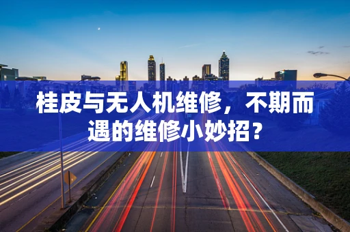 桂皮与无人机维修，不期而遇的维修小妙招？