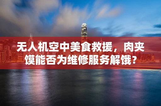 无人机空中美食救援，肉夹馍能否为维修服务解饿？