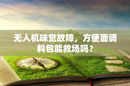 无人机味觉故障，方便面调料包能救场吗？