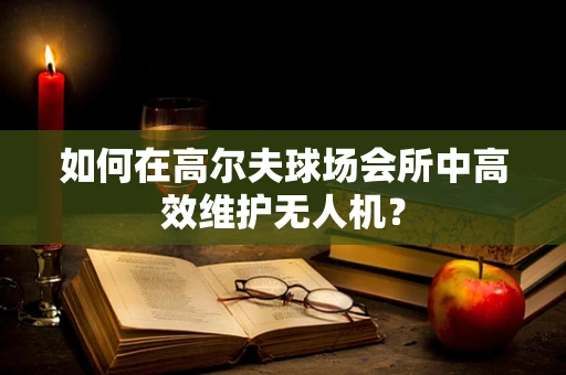如何在高尔夫球场会所中高效维护无人机？