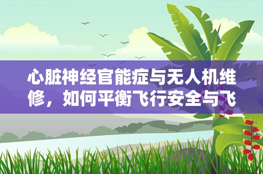 心脏神经官能症与无人机维修，如何平衡飞行安全与飞行员健康？