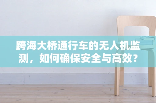 跨海大桥通行车的无人机监测，如何确保安全与高效？