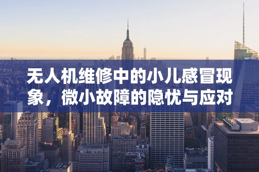 无人机维修中的小儿感冒现象，微小故障的隐忧与应对策略