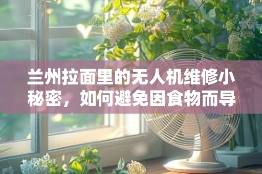 兰州拉面里的无人机维修小秘密，如何避免因食物而导致的设备故障？