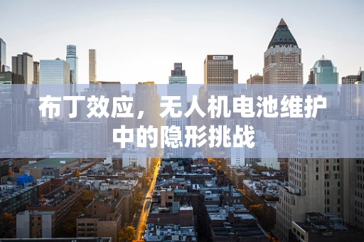 布丁效应，无人机电池维护中的隐形挑战
