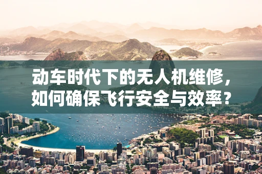 动车时代下的无人机维修，如何确保飞行安全与效率？